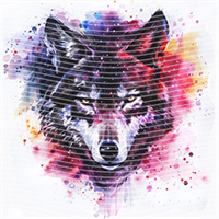 Animal Integration-DW 844